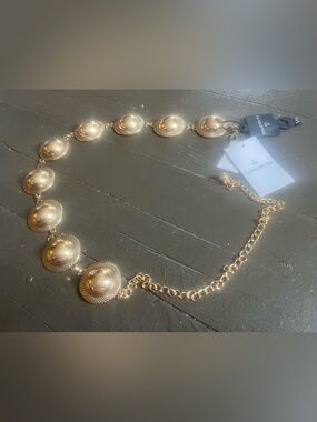 LA Valentina Shiny Gold Domed Disc Belt